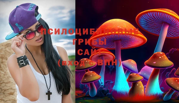 PSILOCYBIN Верея